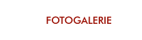 Fotogalerie a virtuální prohlídky